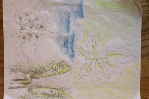 IMG_4767 IMG_4767
